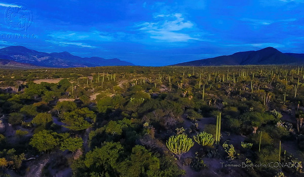 Medios de Comunicación